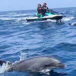 Guided Jet Ski Adventure in Two Harbors Catalina Island - Practical Aspects and What to Know