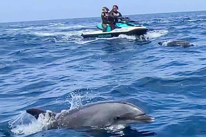 Guided Jet Ski Adventure in Two Harbors Catalina Island - Practical Aspects and What to Know