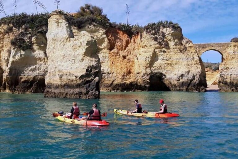 Guided Kayak Tour along the coast of Lagos - The Experience in Detail