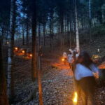 Guided llamawalk with a traditional, homemade cheesefondue - The Itinerary: What to Expect on Your Llamawalk Adventure