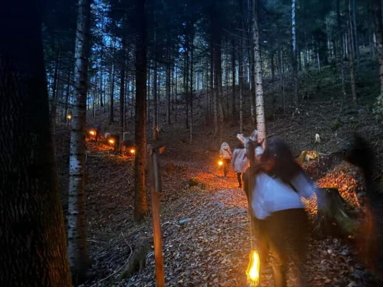 Guided llamawalk with a traditional, homemade cheesefondue - The Itinerary: What to Expect on Your Llamawalk Adventure