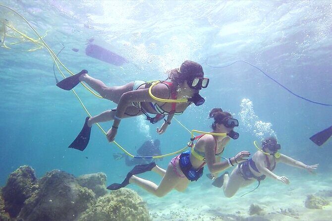 Guided Scuba Diving in Cabo Pulmo - Itinerary Breakdown: What You Can Expect