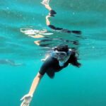 Guided snorkel in Cambrils with explanation of the marine environment. - The Experience for Different Types of Travelers