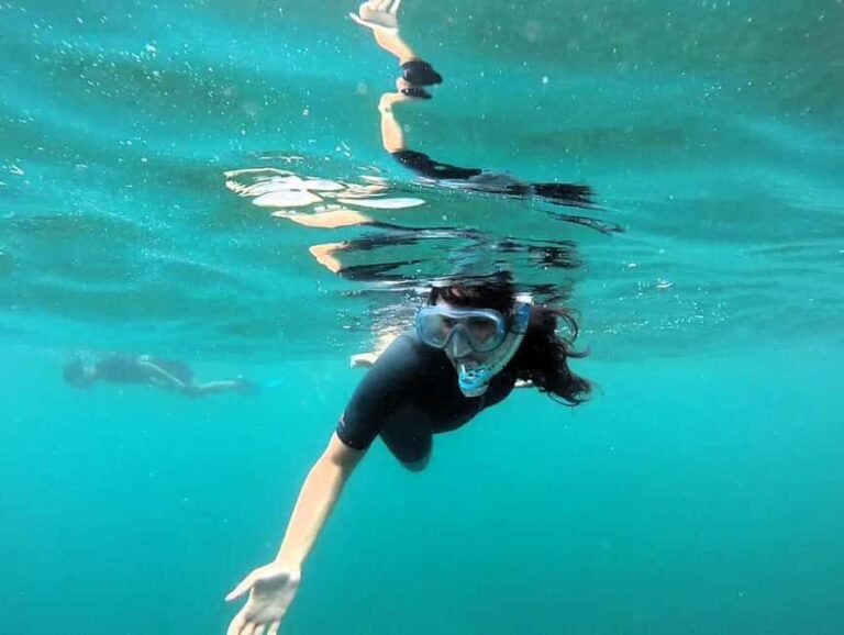 Guided snorkel in Cambrils with explanation of the marine environment. - The Experience for Different Types of Travelers