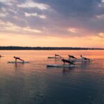 Guided Stand Up Paddleboarding Activity in Hilton Head Island - Analyzing Value and Cost