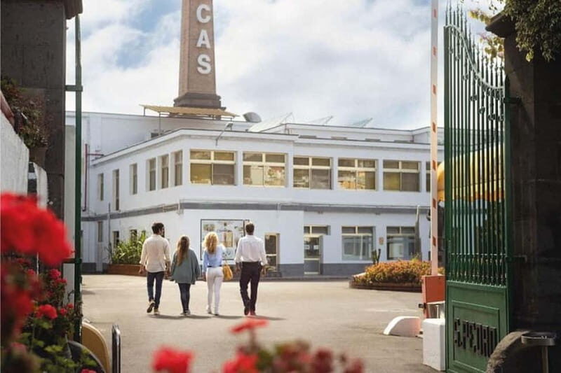 Guided Tour at Ron Arehucas Distillery - Who Will Love This Tour?