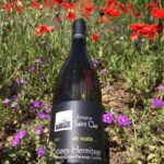 Guided tour & Crozes-Hermitage wine tasting - Why You Should Consider This Tour