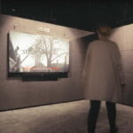 Guided Tour from Kraków: Museum of Owicim,Brzezinka - Why This Tour Works Well