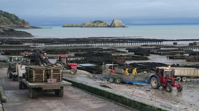 Guided tour of Cancale's oyster beds - The Guide: Knowledgeable and Humorous