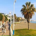 Guided tour of Malaga fishing scene with cooking workshop - Exploring Malaga’s Fishing Heritage