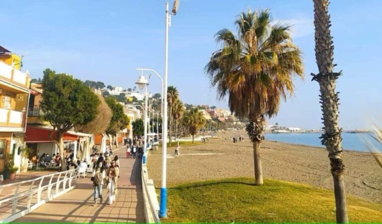 Guided tour of Malaga fishing scene with cooking workshop - Exploring Malaga’s Fishing Heritage