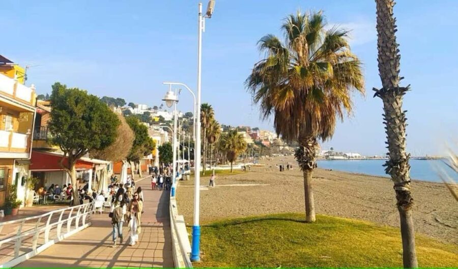 Guided tour of Malaga fishing scene with cooking workshop - Exploring Malaga’s Fishing Heritage
