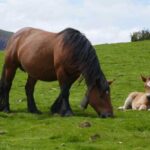 Guided tour of the 5 most beautiful towns in Basque Country - Exploring the Itinerary: What You Can Expect