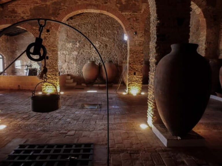 Guided tour of the Cella Vinaria Antiqua Wine Cellar Museum - What to Expect from the Tour