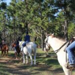 Guided Two Hour Horseback Trail Ride in Central Florida - Deep Dive into the Itinerary