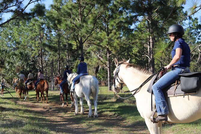 Guided Two Hour Horseback Trail Ride in Central Florida - Deep Dive into the Itinerary