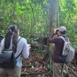 Guided visit in the Palenque jungle (Palenque National Park) - The Experience of a Small Group