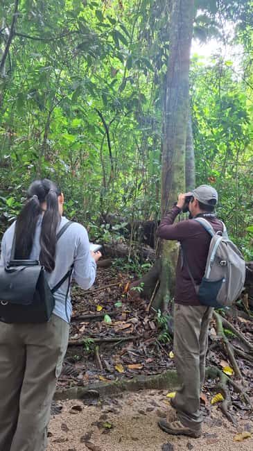 Guided visit in the Palenque jungle (Palenque National Park) - The Experience of a Small Group