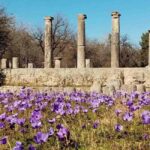 Guided visit to ancient Olympia with an Italian-Greek archaeologist tour guide - Museum Highlights: Art and Artifacts