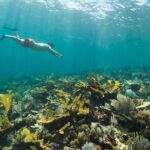 Guided Visit to Puerto Morelos with Snorkeling Included - The Sum Up