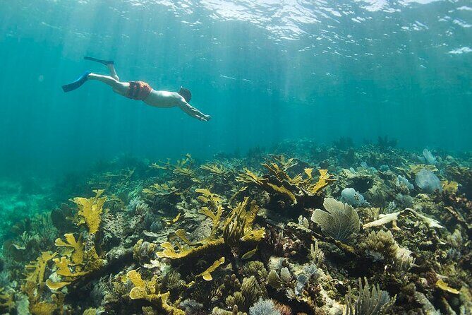 Guided Visit to Puerto Morelos with Snorkeling Included - The Sum Up