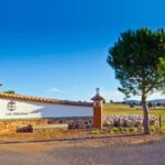 Guided visit to the Las Terceras cheese farm - Exploring the Heart of La Mancha