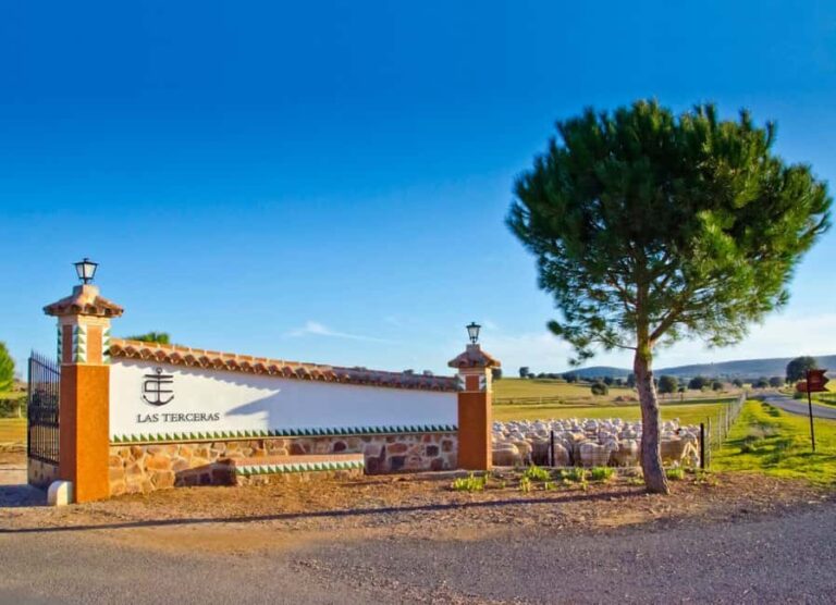 Guided visit to the Las Terceras cheese farm - Exploring the Heart of La Mancha
