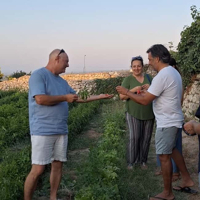 Guided visit to the Medieval Gardens of Ostuni - Practical Details and Tips
