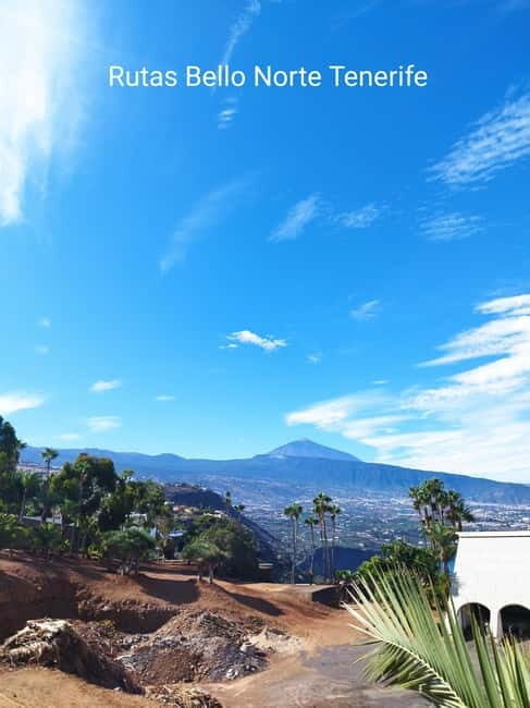 Guided walking tour in La Orotava 1:30 min, Tenerife - What You Will Love About This Experience
