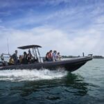 Gulf of Morbihan cruise with/without stopover on Île-aux-Moines - Who Would Love This Tour?