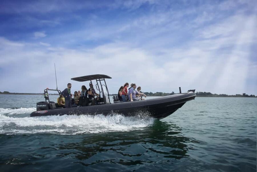 Gulf of Morbihan cruise with/without stopover on Île-aux-Moines - Who Would Love This Tour?