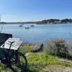 Gulf of Morbihan: from Auray to the inner shores and back via St Goustan - What’s Included and What to Consider