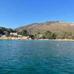 Gulf of Olbia: Dolphin watching by dinghy - What’s Included and What’s Not