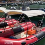 Gulf of Porto: Boat rental without a license - Who Should Consider This Experience?