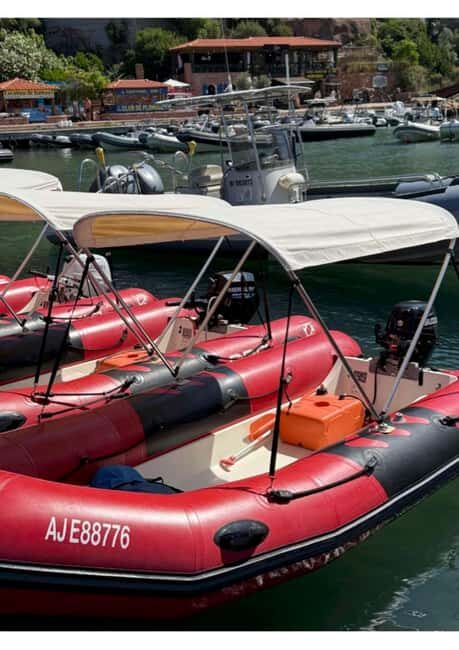 Gulf of Porto: Boat rental without a license - Who Should Consider This Experience?