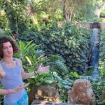 Hacienda Mucuyche & Oxkintok ruins & Cenotes: Carlota& Azul Maya - Why This Tour Offers Good Value