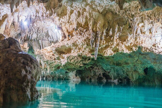 Half Day Cenotes Experience - Starting Point and Transportation