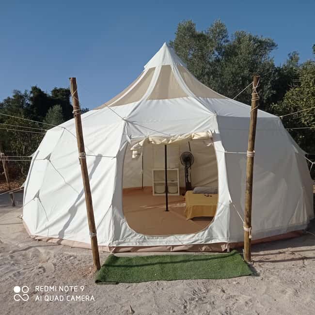 Half-day "Detox, Mineralization & Recovery" (bath + treatment) - Practical Details and Value