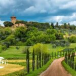 Half Day Escape to Chianti: Taste the Heart of Tuscany - Value and Price Analysis