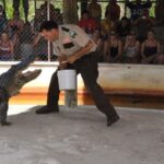 Half-Day Everglades Airboat Tours and Transportation - Highlights and Drawbacks