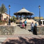Half-Day: Guided Tour to Todos Santos Magical Town - Transportation and Group Size