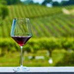 Half-Day Private Niagara-On-The-Lake Wine Tour from St.Catharines - What Is Included and What Costs Extra?
