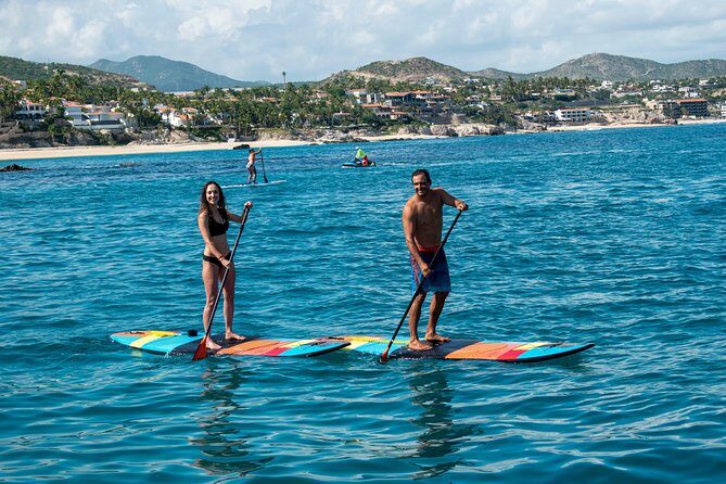 Half-Day Private Snorkel Sailing Adventure in Cabo San Lucas - The Pros and Cons