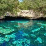 Half Day Private Snorkeling with Turtles and Majestic Cenotes - What Makes This Tour Special?