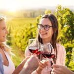 Half-Day Private Texas Hill Country Wine Tour from Austin - Transportation and Timing