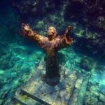 Half Day Private Tour to Islamorada Alligator Reef and Sandbar - The Itinerary: What to Expect