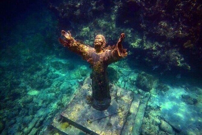 Half Day Private Tour to Islamorada Alligator Reef and Sandbar - The Itinerary: What to Expect