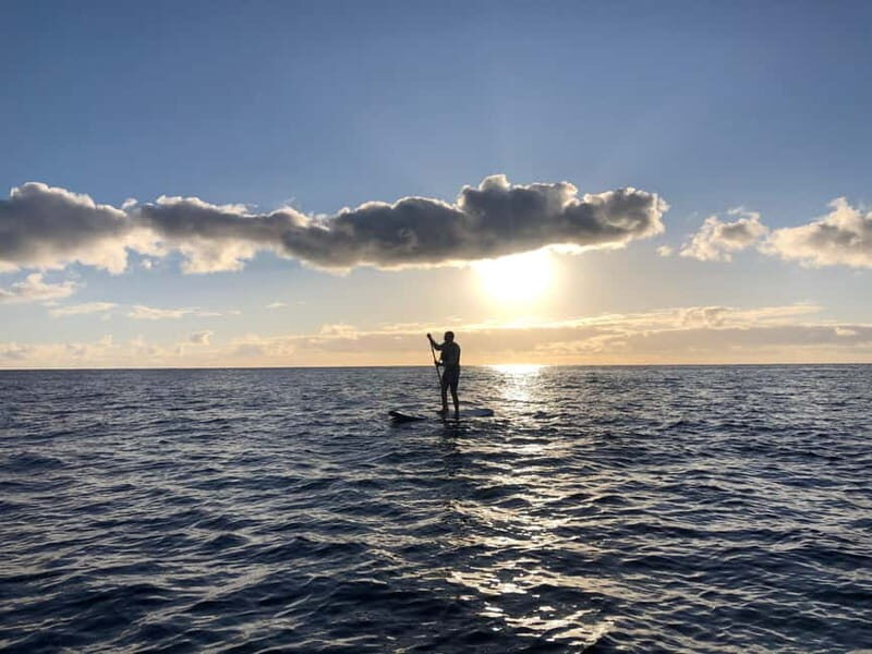 Half Day: Sailing, snorkeling and Stand up Paddle. - Price and Value Analysis