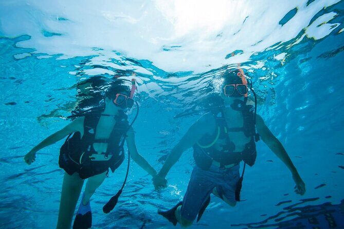 Half Day Scuba Diving Course enjoy Pool and Beach Dive Adventure - The Experience in Practice