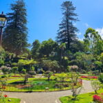 Half-day tour: Angra do Heroísmo City Tour - What Makes This Tour Stand Out?